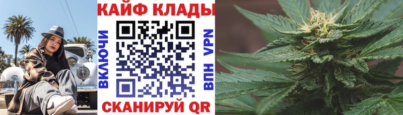 Купить наркотики сайты Железногорск-Илимский Гашиш  Кокаин  Codein  Бошки Шишки  Мефедрон 
