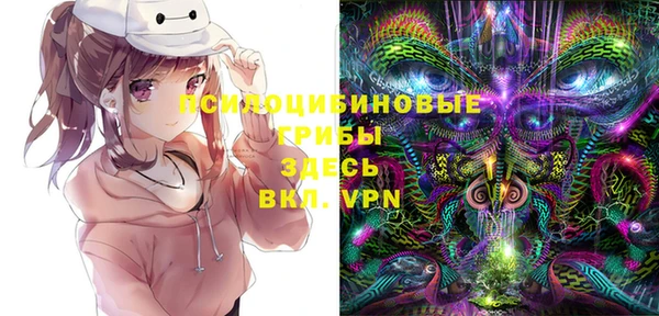 mdpv Надым