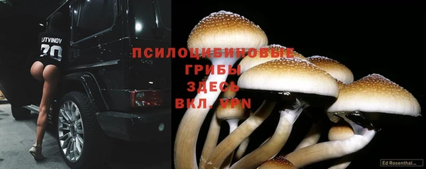 2c-b Верхний Тагил