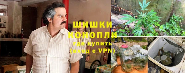 мдпв Вязьма