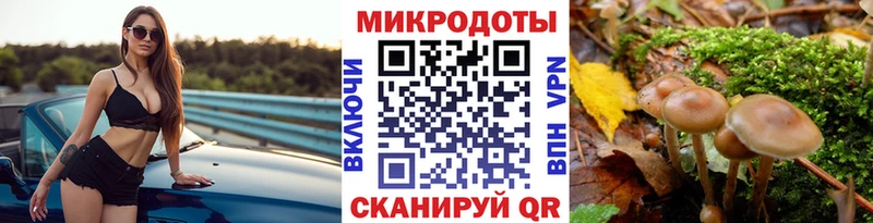 Псилоцибиновые грибы Psilocybine cubensis omg ссылка Железногорск-Илимский купить цена